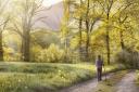 The West Fife Woodlands Group are preparing to install a rainbow bridge on a new path network.