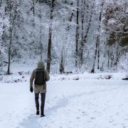 4 winter walking routes to try near Dunfermline (Canva)