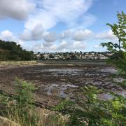 The Ministry of Defence says remediation works on the Dalgety Bay shore will be complete by late summer.