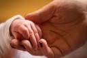 Over 200 babies were welcomed into the world by NHS Fife in September.
