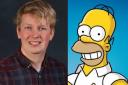Don't make same rubbish errors as Homer Simpson, council is told