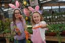 Easter fun is being put on at Dobbies' in Dunfermline. Pic:Stewart Attwood