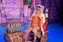 Kevin McLeod as the Professor in the pantomime. Image: Alhambra Theatre.