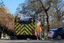 A crew of firefighters was called to the scene in Pittencrieff Park yesterday afternoon.