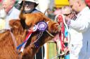 The Central and West Fife Show will take place this Saturday, June 3, in Crossgates.