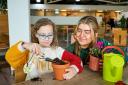 Kids will learn about the mystical qualities of plants with experts.