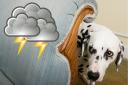 Dogs can be scared of loud noises including a thunderstorm but there are ways to keep them calm when they're feeling anxious