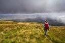Walking routes in Fife and Dumfries and Galloway were named among Scotland's most 'stunning' ancient pathways