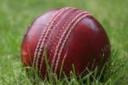 Another Saturday of struggle for West Fife cricketers