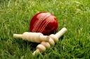 CRICKET: Dunfermline and Carnegie are on their way up!