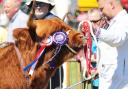 The Central and West Fife Show will take place this Saturday, June 3, in Crossgates.