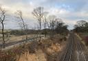 Vegetation has been cleared from along the railway line near Dalgety Bay station.