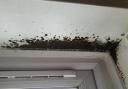 There's been a 'big upturn' in the number of complaints about damp and mould in Fife Council homes.