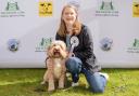 Oscar, with Shirley-Anne Somerville MSP at the Holyrood Dog of the Year event.