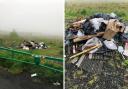 Rubbish dumped on the road to Cleish, to the west of Kelty.