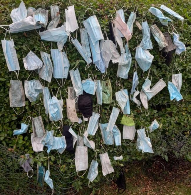 Volunteers have picked up thousands of discarded masks from Fife's streets.