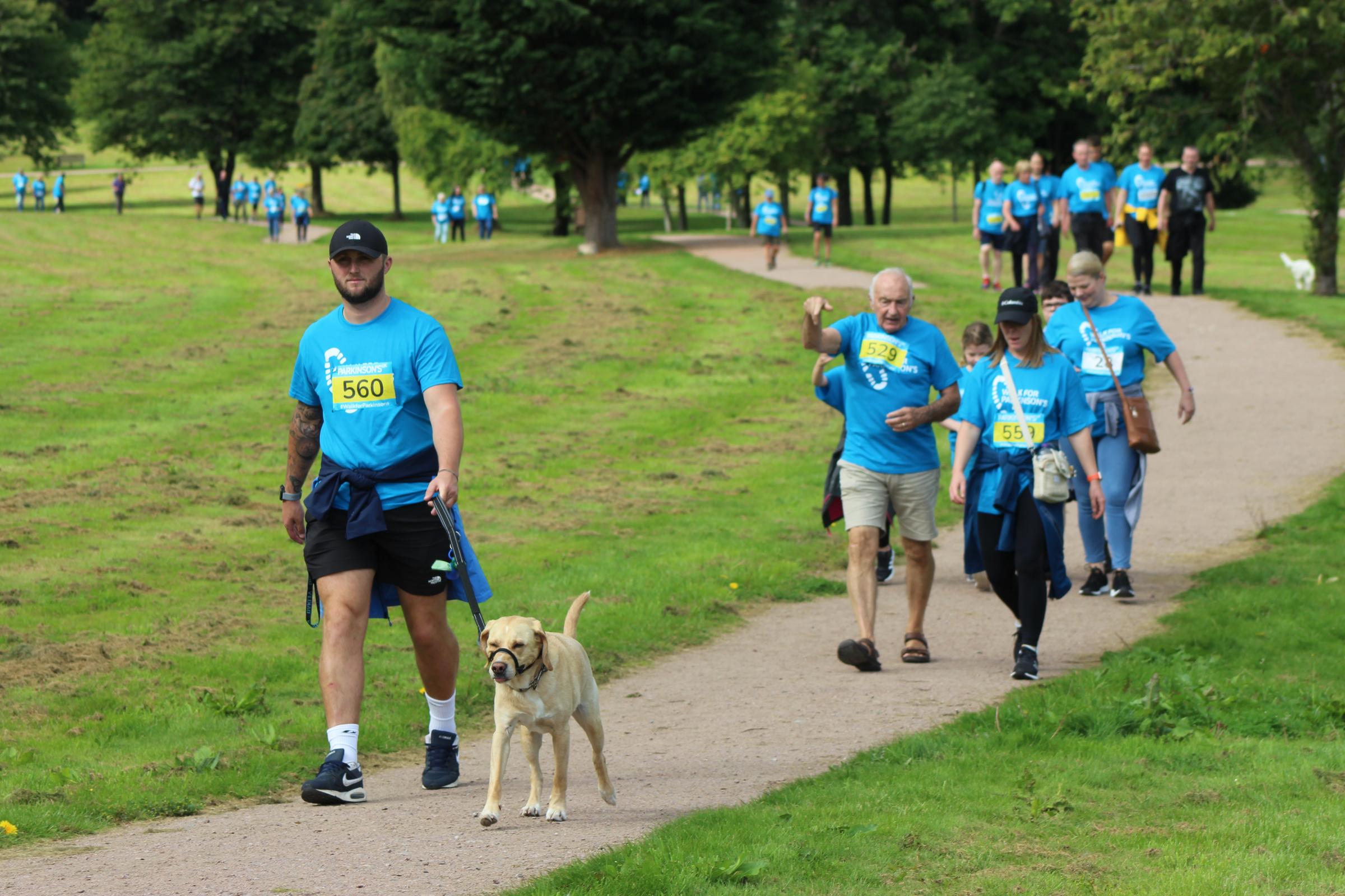 Take part in Walk for Parkinsons' at Lochore Meadows - Vimarsana News