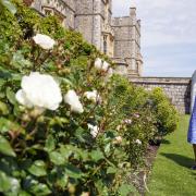 Queen Elizabeth II views a border in the gardens of Windsor Castle, in Berkshire (PA)
