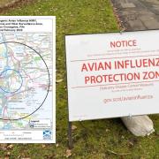 A 3km protection zone and a 10km surveillance zone have been set up after bird flu was detected in Crossgates.