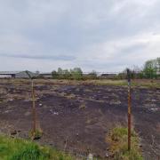 The land off Fulmar Way which Muir Homes plans to develop.