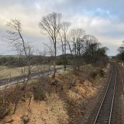 Vegetation has been cleared from along the railway line near Dalgety Bay station.