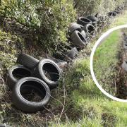 47 tyres were dumped on the backroad