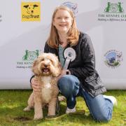 Oscar, with Shirley-Anne Somerville MSP at the Holyrood Dog of the Year event.