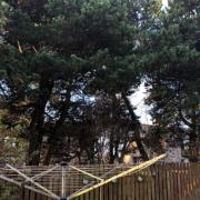 A Scottish Government reporter has ordered high hedges at a property in Cherrybank in Dunfermline to be cut back.