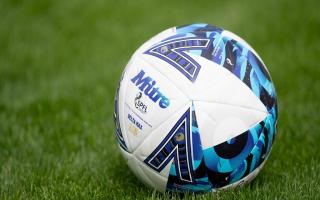 Professional football matches across Scotland this weekend have been postponed.