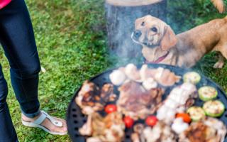 PDSA vets have issued a warning to all pet owners ahead of BBQ season