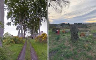 Before and after. Beech trees at the west end of Chamberfield Road in Dunfermline have been cut down.
